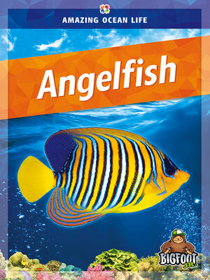 cover image of Angelfish